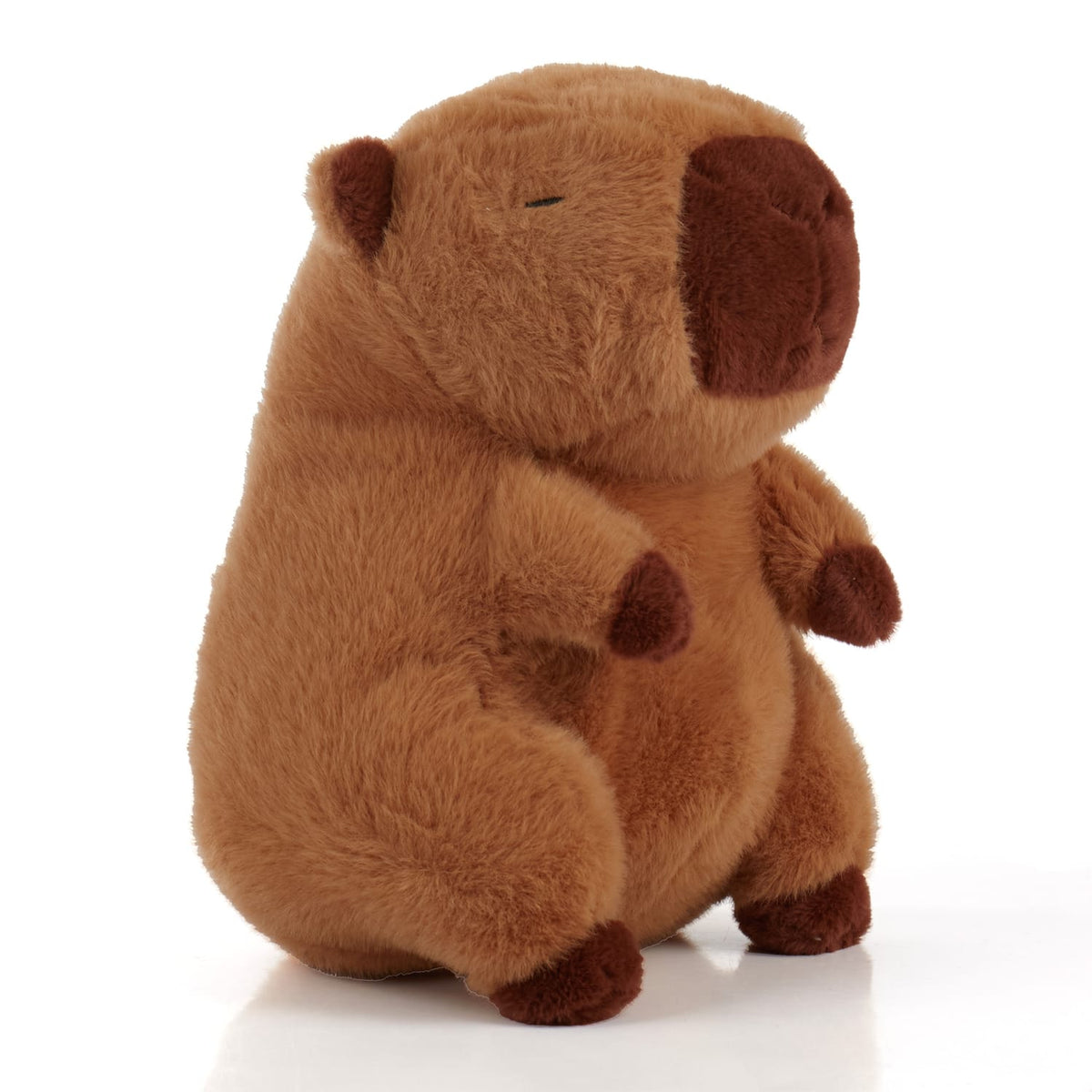 Kawaii Dreamer Capybara Plush, product image 2